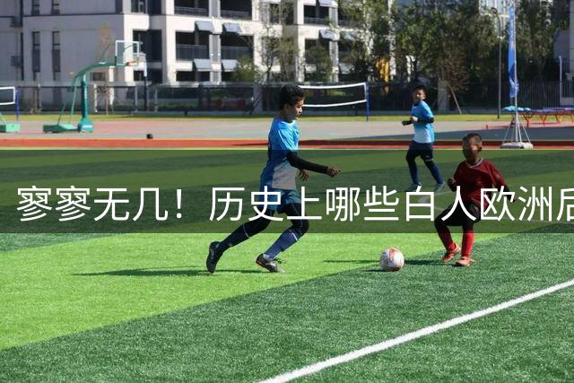 寥寥无几！历史上哪些白人欧洲后卫在CBA打出名堂？-CBA-CBA专区-虎扑社区